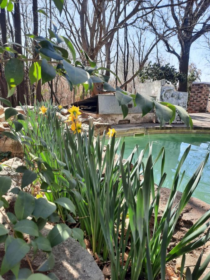 Arcadia Luxury Guesthouse Kroonstad Dış mekan fotoğraf